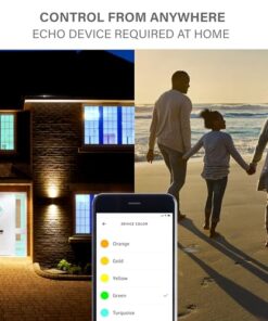 Echo Pop | Lavender Bloom with Sengled Smart Color Bulb