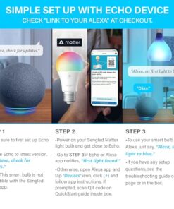 Echo Pop | Lavender Bloom with Sengled Smart Color Bulb